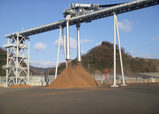 Tripper belt conveyor for transporting woody biomass chips for Tsuruga Power Station