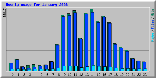 Hourly usage for January 2023
